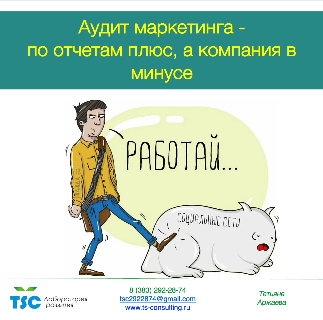 Аудит маркетинга или по отчетам плюс, а компания в минусе.