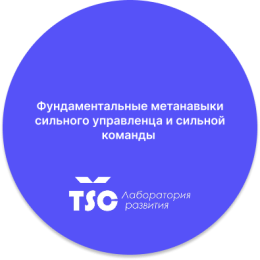 Фундаментальные метанавыки сильного управленца и сильной команды 